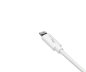 Preview: USB A til Lightning-kabel 1 m, hvit, DINIC-boks