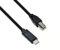 Preview: USB Kabel Typ C auf USB 2.0 B Stecker, schwarz, 2,00m, DINIC Box (Karton)