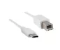 Preview: USB Cable Type C male to USB 2.0 Type B male, white, 2,00m