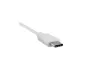 Preview: USB Cable Type C male to USB 2.0 Type B male, white, 2,00m