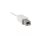 Preview: USB Cable Type C male to USB 2.0 Type B male, white, 2,00m