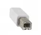 Preview: USB Kabel Typ C auf USB 2.0 B Stecker, weiß, 2,00m, DINIC Blister