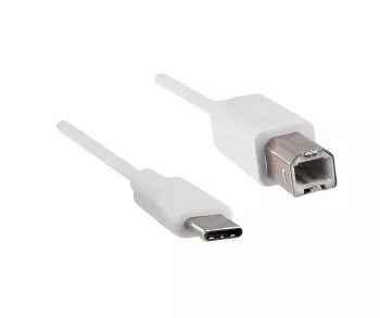 USB Cable Type C male to USB 2.0 Type B male, white, 2,00m