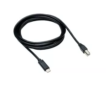 Cable USB tipo C a conector USB 2.0 B, negro, 3,00 m, caja DINIC (caja de cartón)