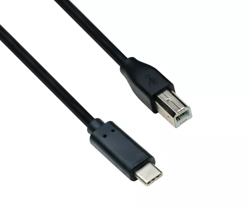 USB Cable Type C male to USB 2.0 Type B male, black, 5,00m