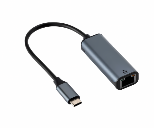 Adapter USB C-stik/RJ45 Gbit LAN-stik, 0,2 m, 10/100/1000 Mbps med automatisk detektering, space grey, DINIC polybag