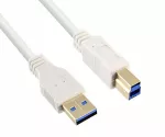 Kabel USB 3.0 od vtiča A do vtiča B, pozlačeni kontakti, bel, 2,00 m, plastična vrečka