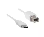 Câble USB type C vers USB 2.0 B mâle, blanc, 2,00m, DINIC Blister