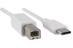 Câble USB type C vers USB 2.0 B mâle, blanc, 2,00m, DINIC Blister